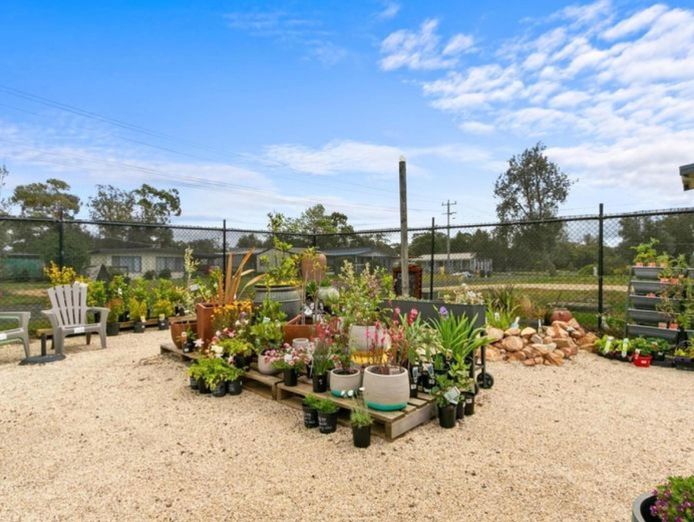 vendors-terms-busy-hardware-amp-garden-centre-6