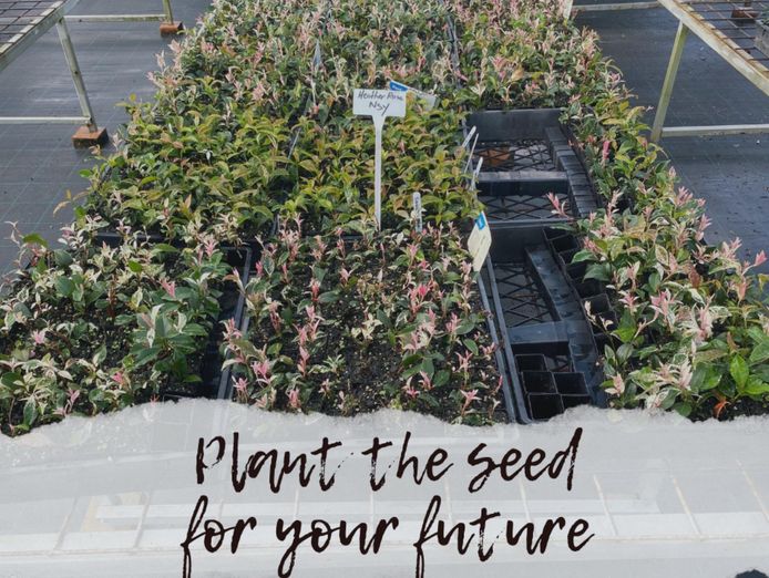 plant-the-seed-for-your-future-4
