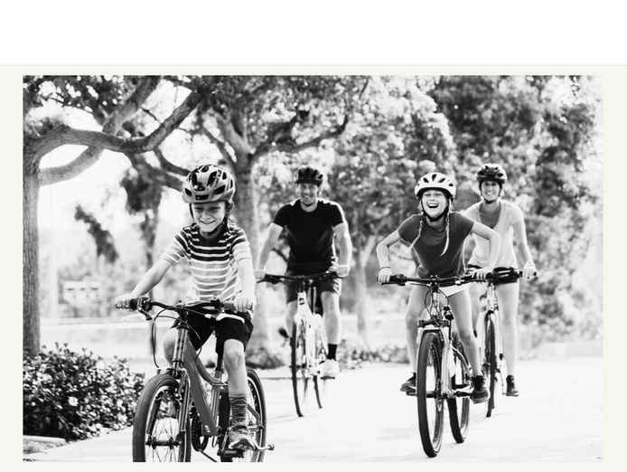 exciting-opportunity-to-own-a-thriving-bicycle-store-in-clydenorth-victoria-0