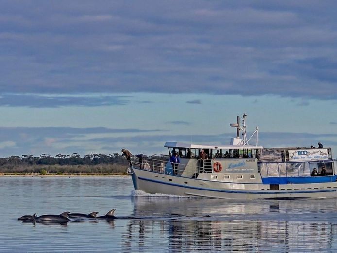 boat-cruise-business-for-sale-a-great-lifestyle-0