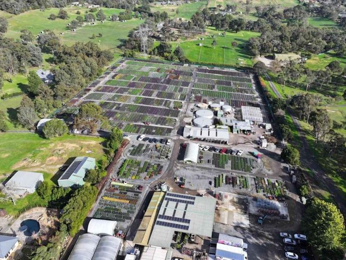 established-wholesale-production-nursery-under-management-1-9m-profit-2