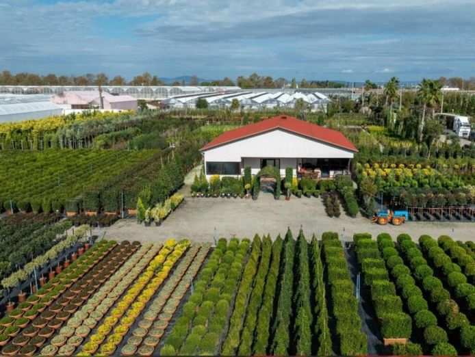 quality-horticultural-business-vic-0