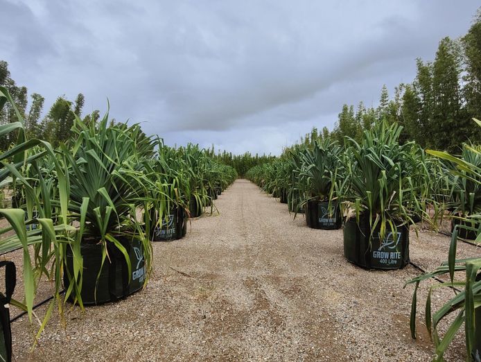 leased-nursery-and-spa-supplies-wholesale-and-retail-with-18-5-acres-and-3-bed-3