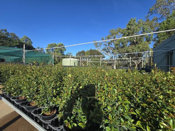 central-to-north-queensland-wholesale-nursery-strategic-add-on-or-lifestyle-bu-2