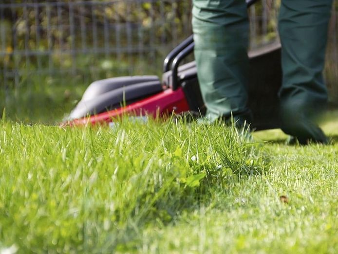 long-established-lawn-garden-business-high-income-work-from-anywhere-1