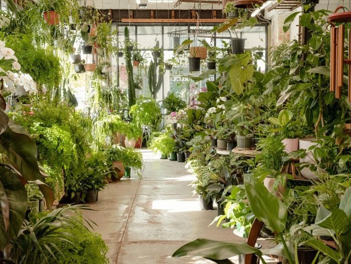 fitzroy-nursery-iconic-cbd-nursery-0