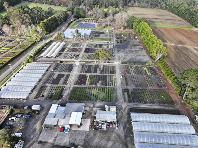 established-wholesale-production-nursery-under-management-1-9m-profit-0