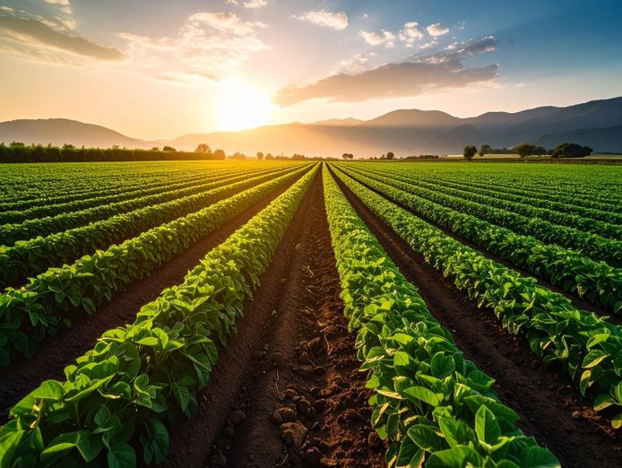 distributor-amp-supplier-pallets-amp-irrigation-dual-division-industrial-s-2