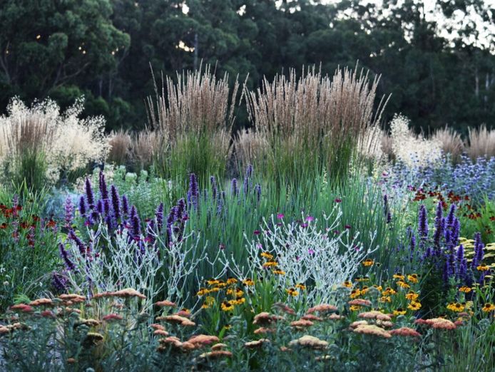wholesale-amp-retail-nursery-established-perennials-nursery-opportunity-vi-0