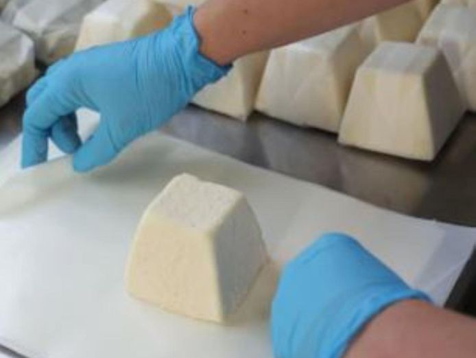 award-winning-cheese-manufacturing-amp-retail-business-5