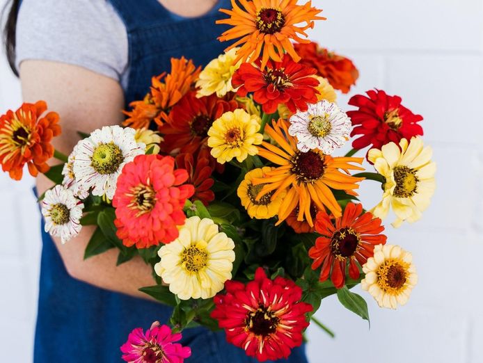 netting-60k-profit-thriving-profitable-florist-and-gift-hamper-business-0