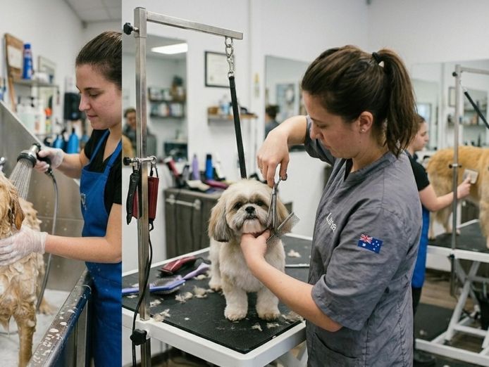 id-241-inner-city-dog-daycare-amp-grooming-business-loyal-client-base-maj-0