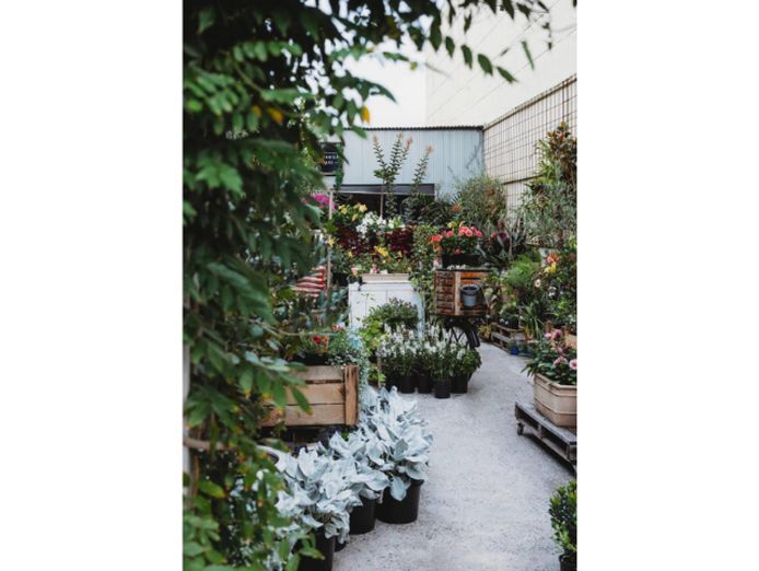 boutique-plant-garden-nursery-amp-giftware-store-creative-lifestyle-busine-3