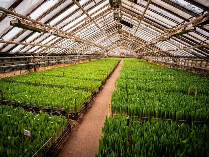 quality-horticultural-business-vic-1