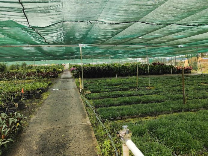 leased-nursery-and-spa-supplies-wholesale-and-retail-with-18-5-acres-and-3-bed-2