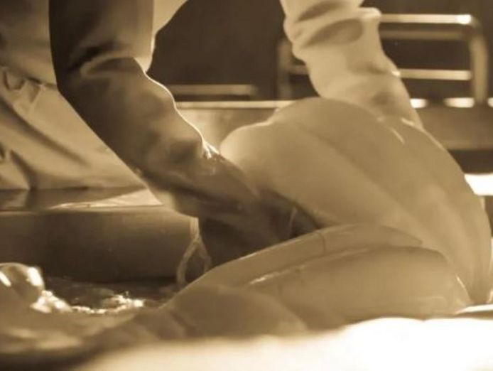award-winning-cheese-manufacturing-amp-retail-business-1