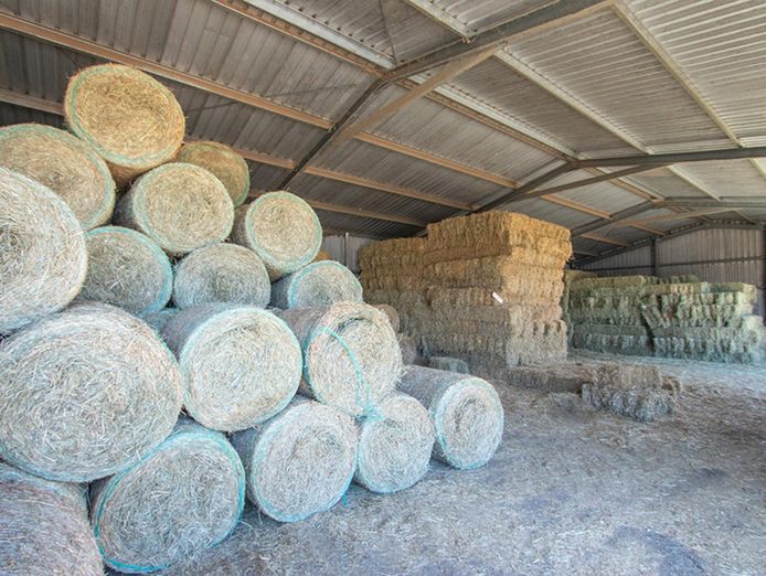 wrt-feed-shed-stockfeed-amp-produce-2