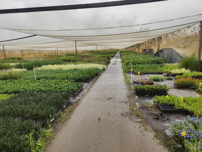 freehold-nursery-and-spa-supplies-wholesale-and-retail-with-18-5-acres-and-3-be-2