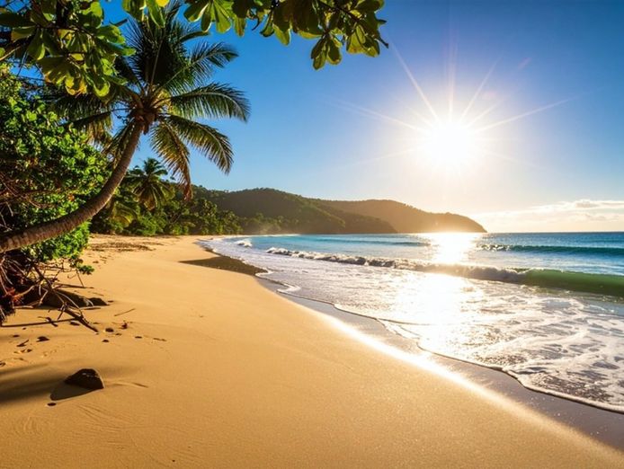 established-panel-repair-business-fleet-focused-north-qld-2