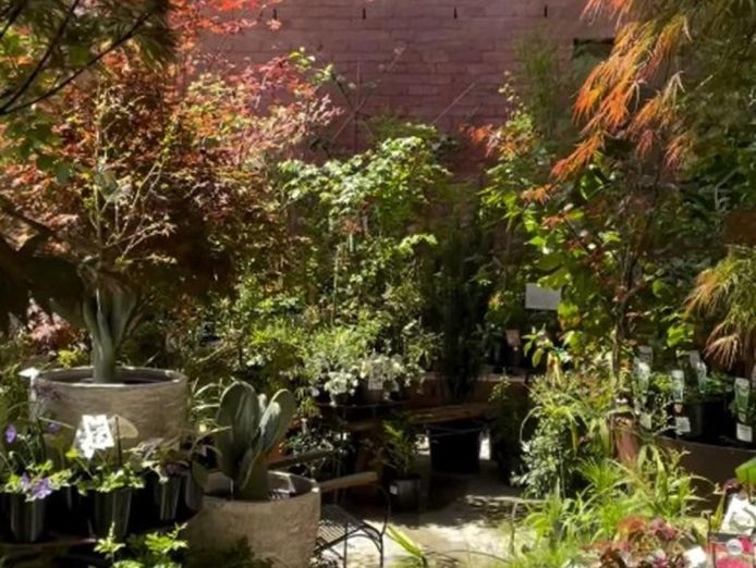 fitzroy-nursery-iconic-cbd-nursery-2