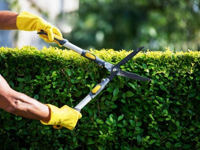 long-established-lawn-garden-business-high-income-work-from-anywhere-2