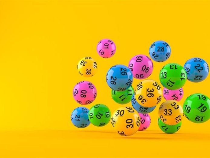 a-tattslotto-business-that-has-it-all-4