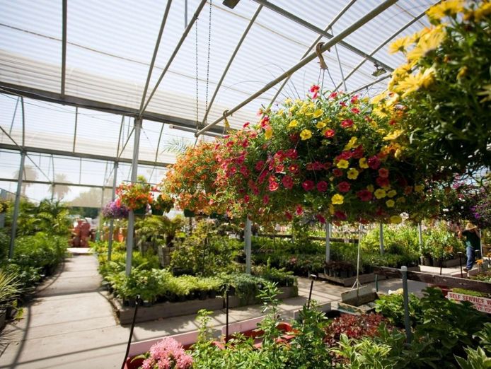wholesale-amp-retail-nursery-established-perennials-nursery-opportunity-vi-0