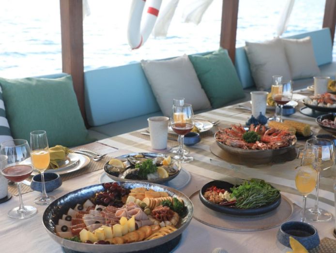 charter-boat-business-sydney-harbour-vessel-goodwill-and-bookings-included-7