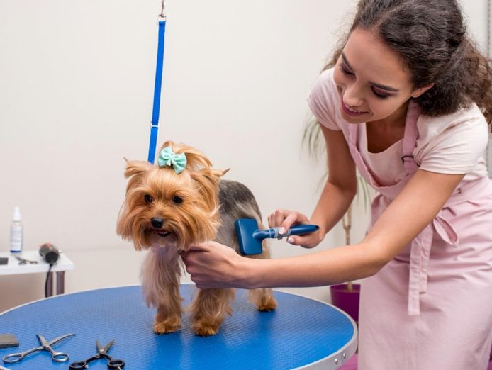id-238-pet-grooming-salon-sutherland-shire-semi-managed-high-profit-new-3-3-1