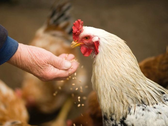 massive-price-drop-retail-produce-amp-farm-rural-supplies-under-management-m-5