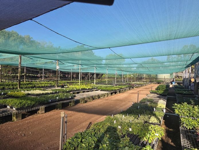 central-to-north-queensland-wholesale-nursery-strategic-add-on-or-lifestyle-bu-0