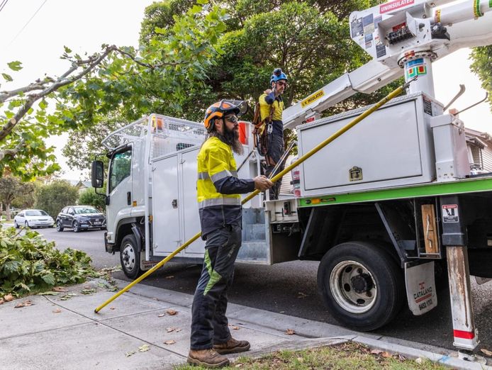 vegetation-maintenance-municipal-contractor-ebs-4