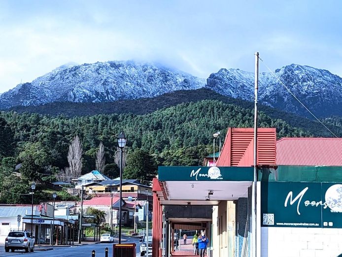 queenstown-wine-bar-proven-lifestyle-upside-1