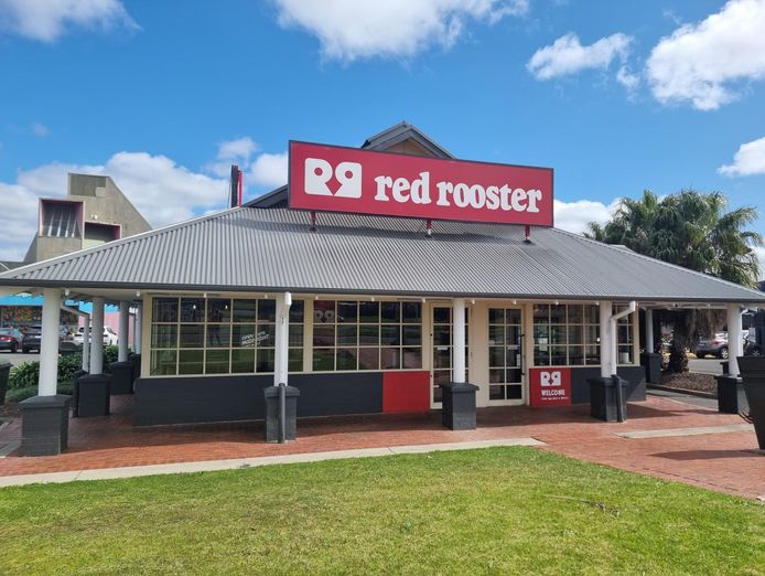 premium-red-rooster-in-gladstone-park-0