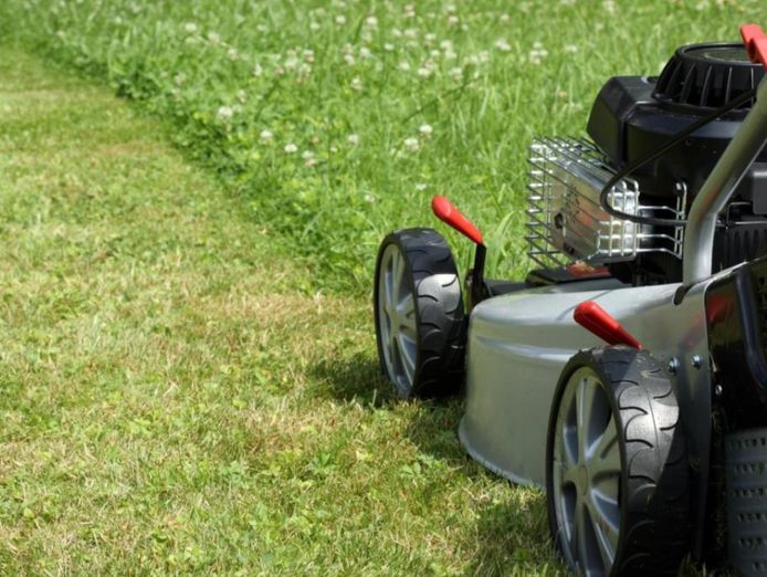 property-cleaning-and-garden-maintenance-business-0