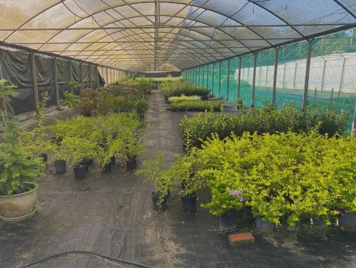 plant-the-seed-for-your-future-1