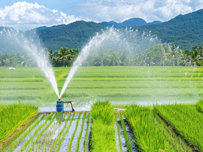 leading-irrigation-retailer-and-wholesale-business-in-the-new-england-region-for-1