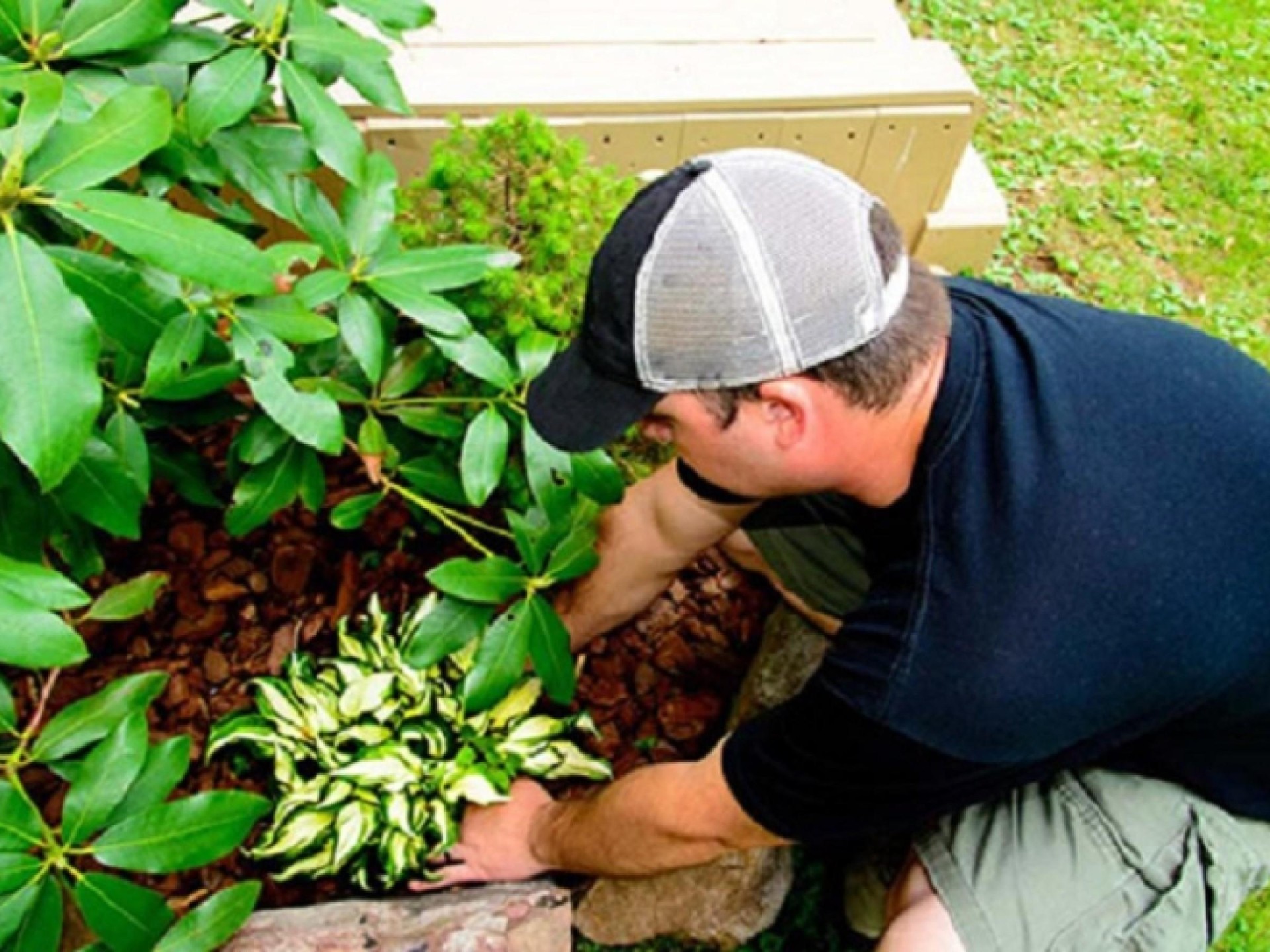 Commercial Ride on Lawnmowing Business SE Suburbs EBS in Chelsea