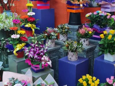gladstone-park-florist-for-sale-2