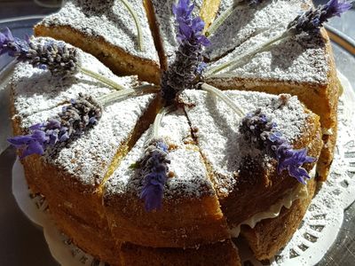 winchelsea-take-away-for-sale-6