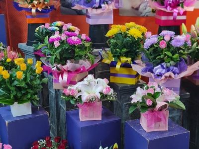 gladstone-park-florist-for-sale-1