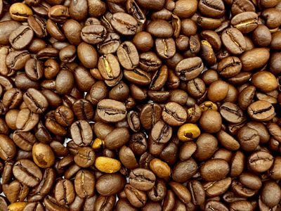 a-unique-cafe-in-queenscliff-1