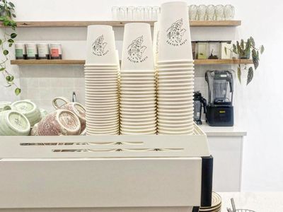 fleur-wolves-caf-201-for-sale-poa-4