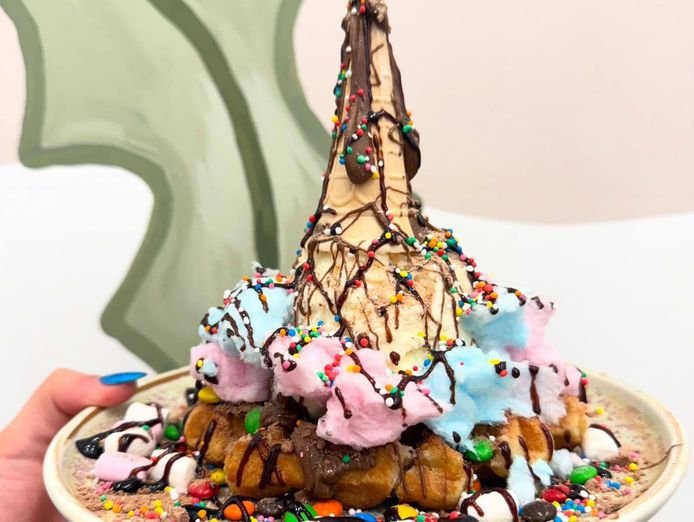 fleur-wolves-caf-201-for-sale-poa-4