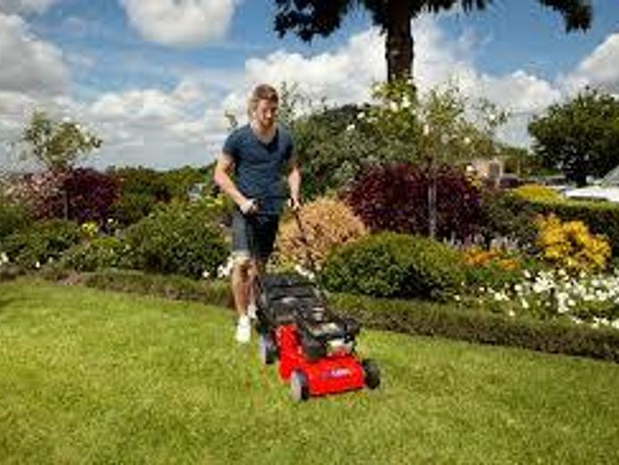 bellarine-mower-service-for-sale-4