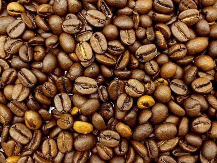 a-unique-cafe-in-queenscliff-1