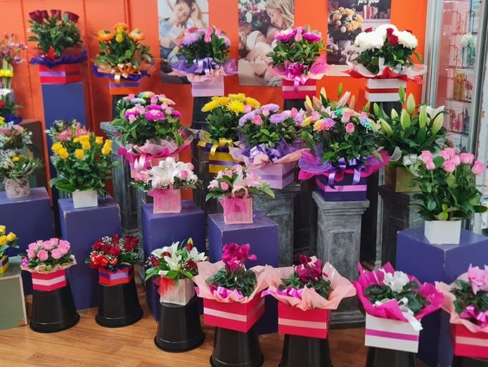 gladstone-park-florist-for-sale-3