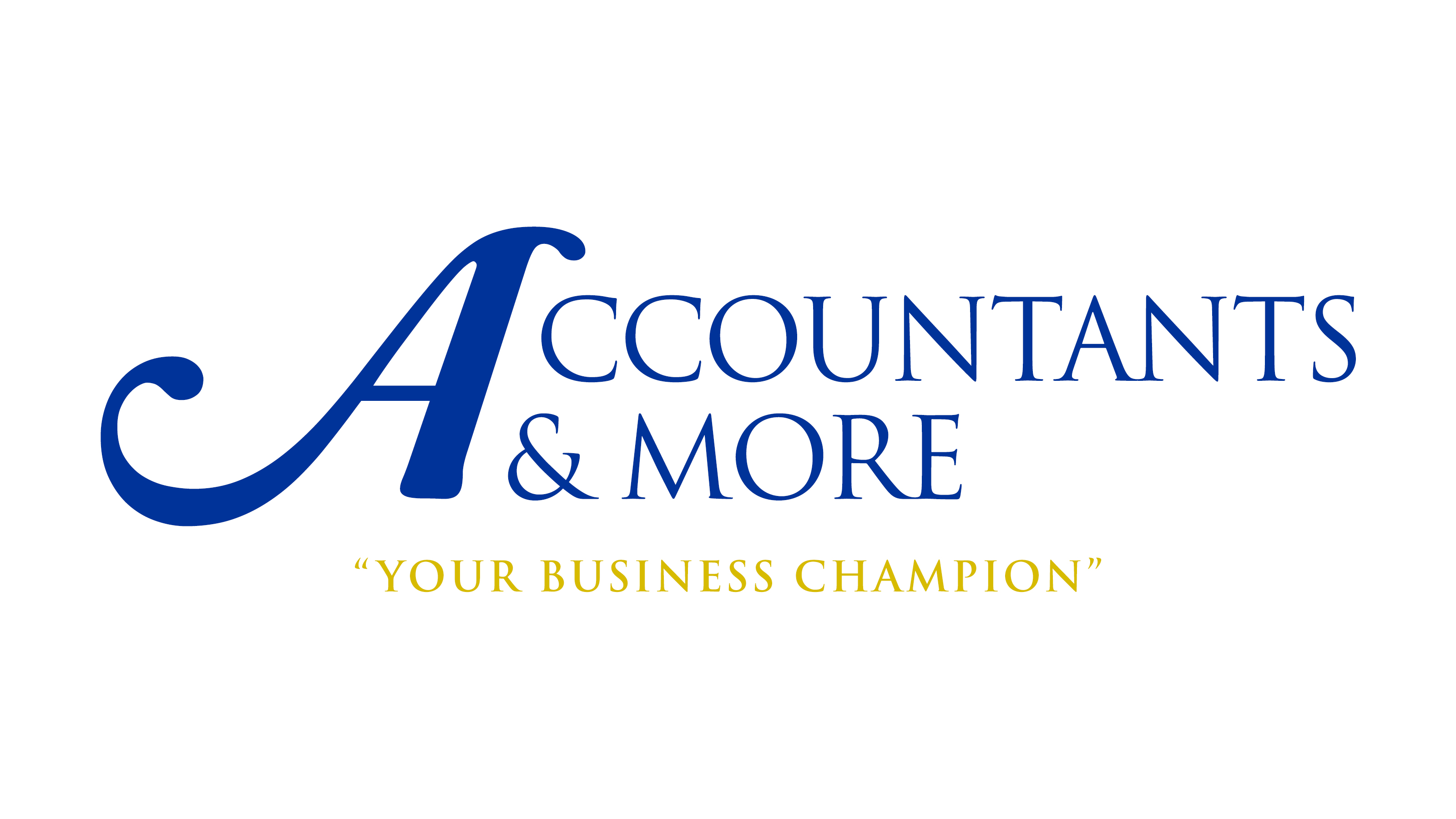 Accountants And More Logo