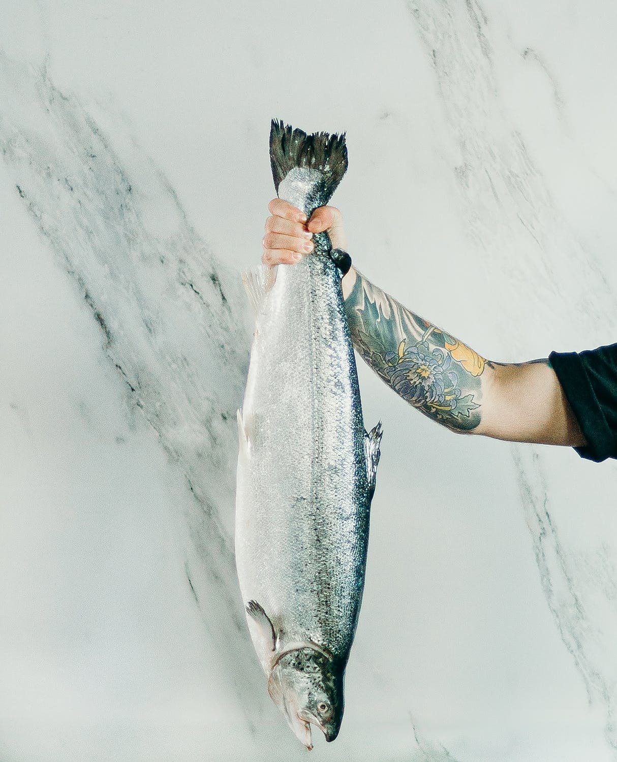 North Queensland's Finest Fish & Seafood Profits 843k