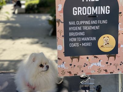 brisbane-markets-business-top-venues-flexible-weekends-6